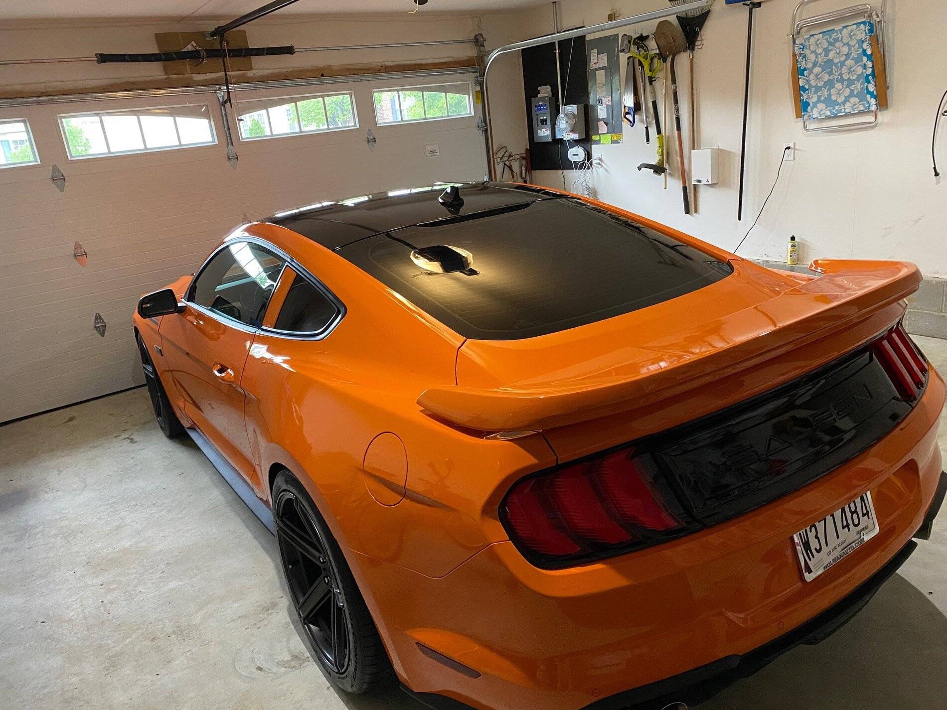 saleen ass.jpg