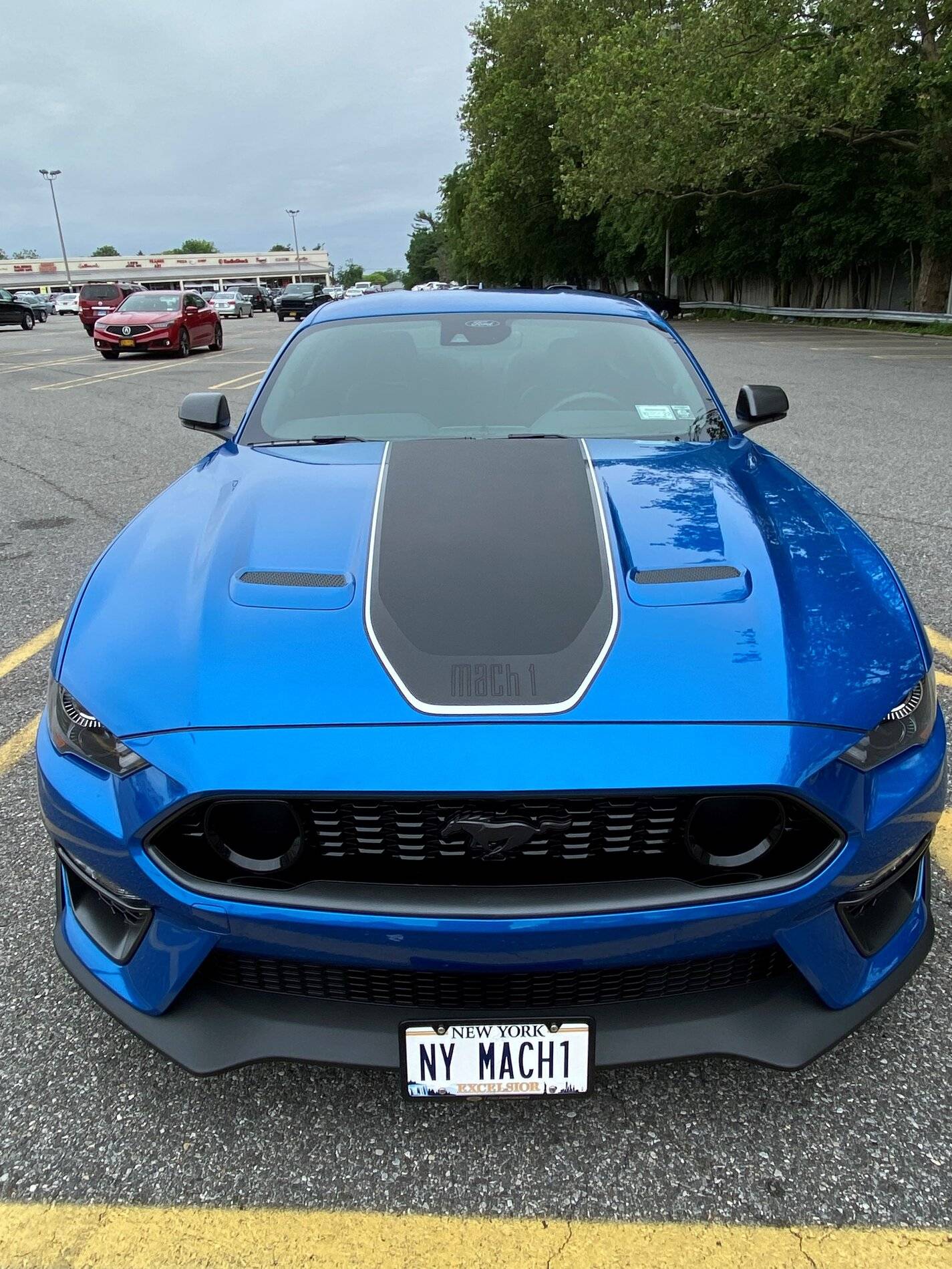 p3.jpg
