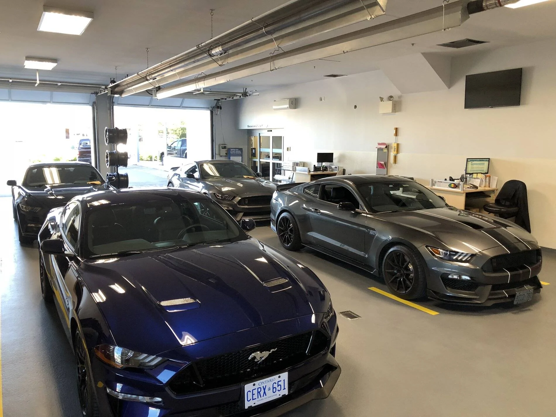 4 stangs.webp