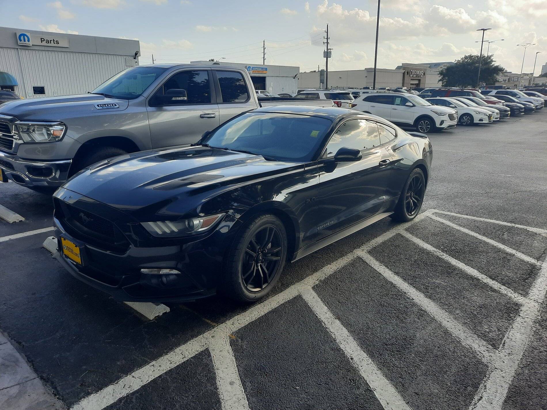 Getting a car.jpg