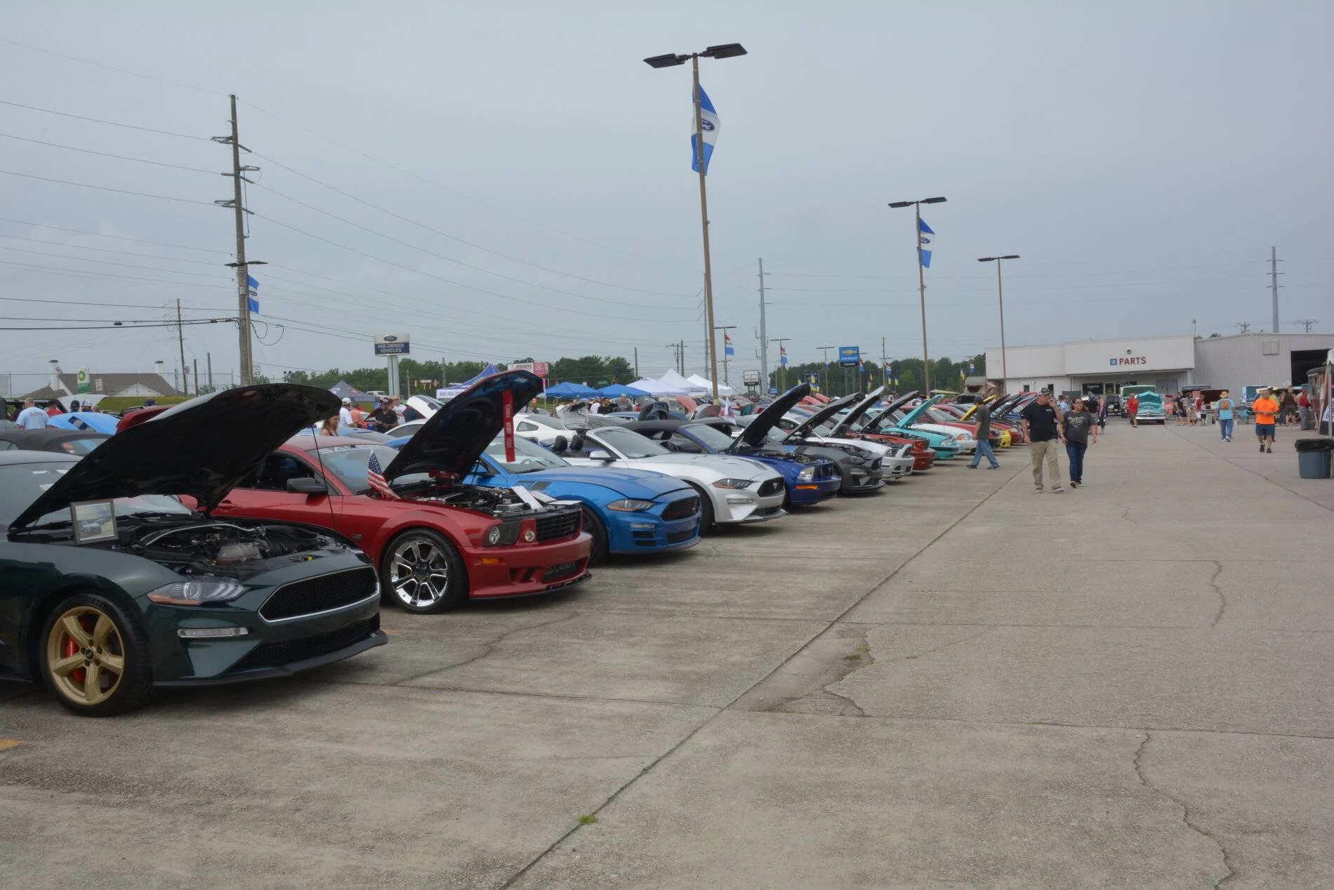 DSC_0012.webp
