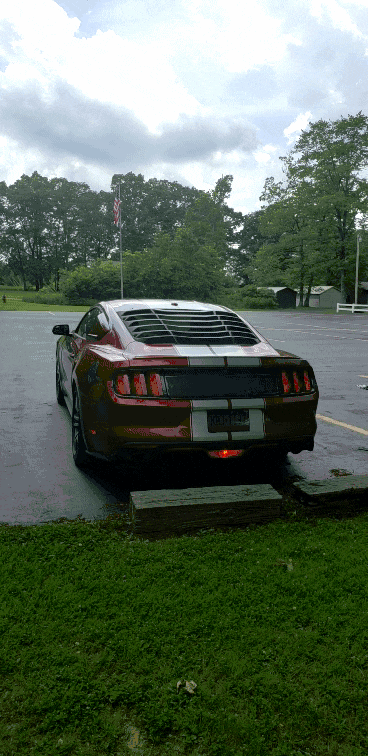20210620_144602_1.gif