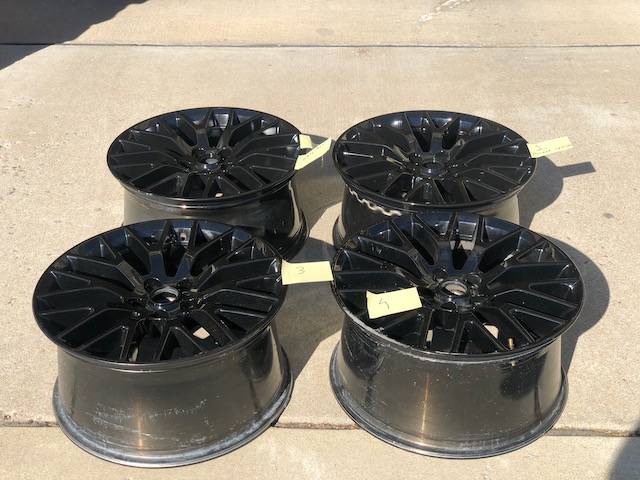 IMG_2721.jpeg