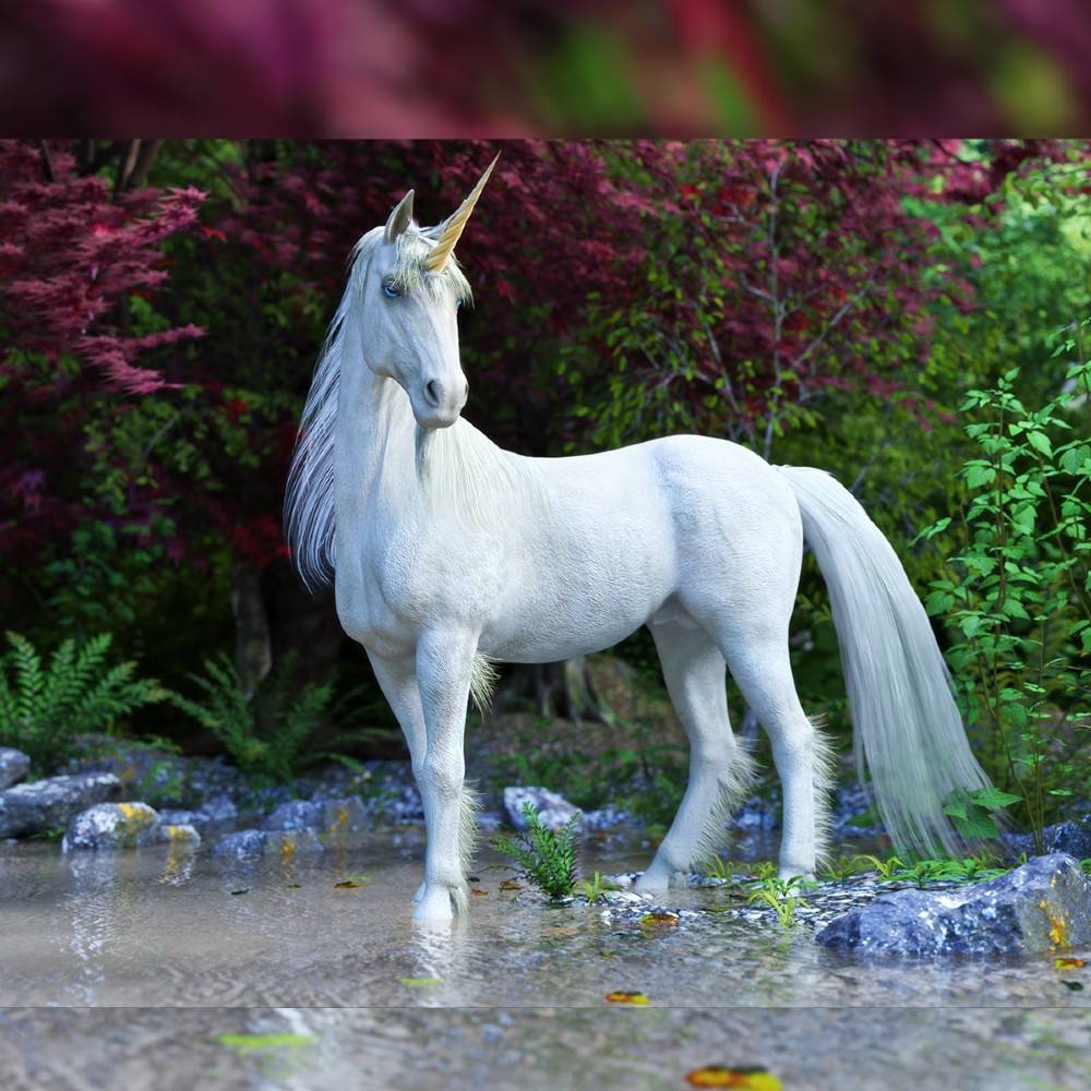 unicorn-1.jpg
