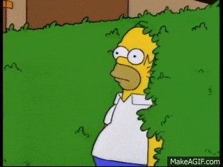 1624383243638.gif