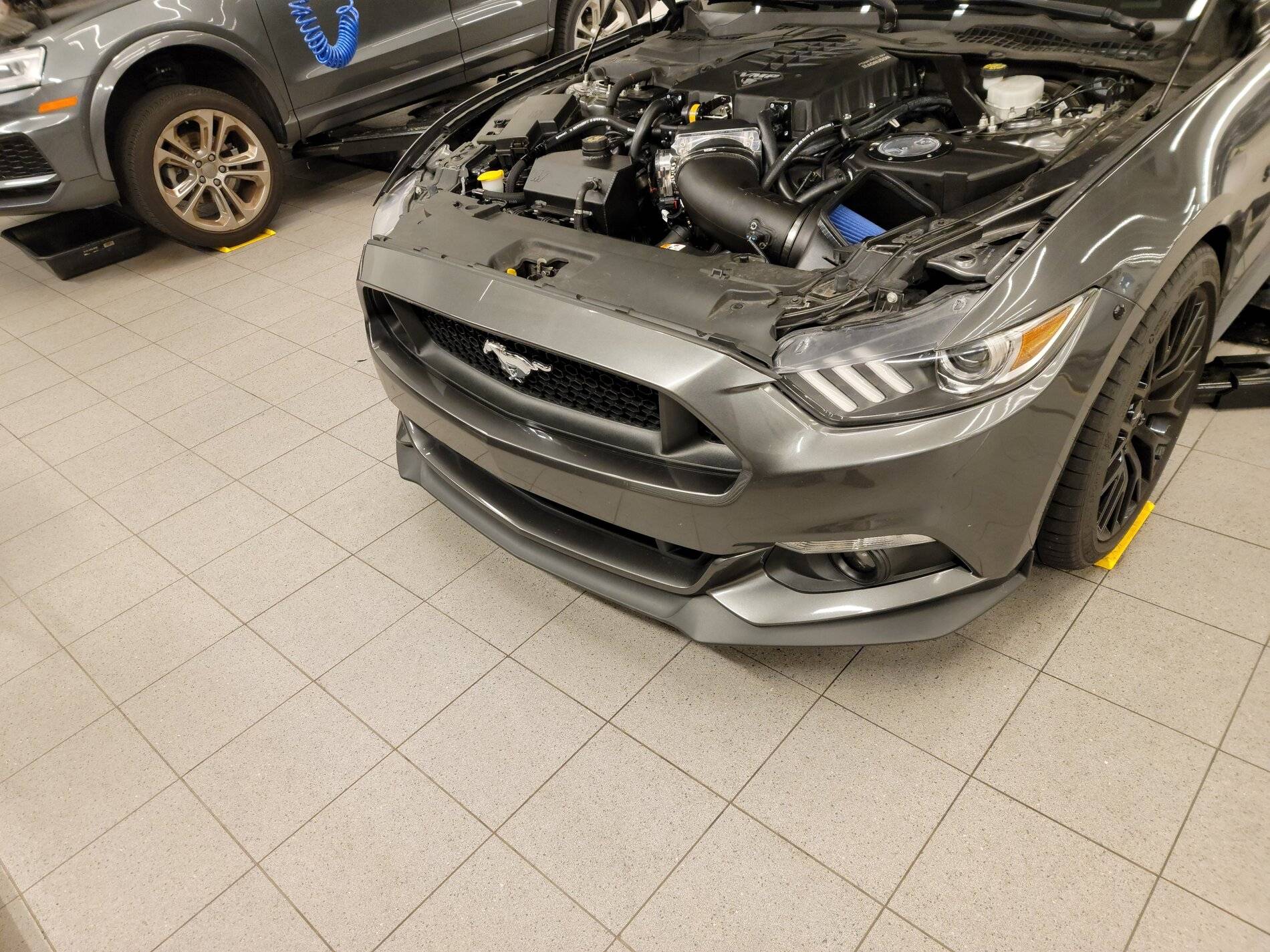 20210622_190922_copy_3967x2974.jpg