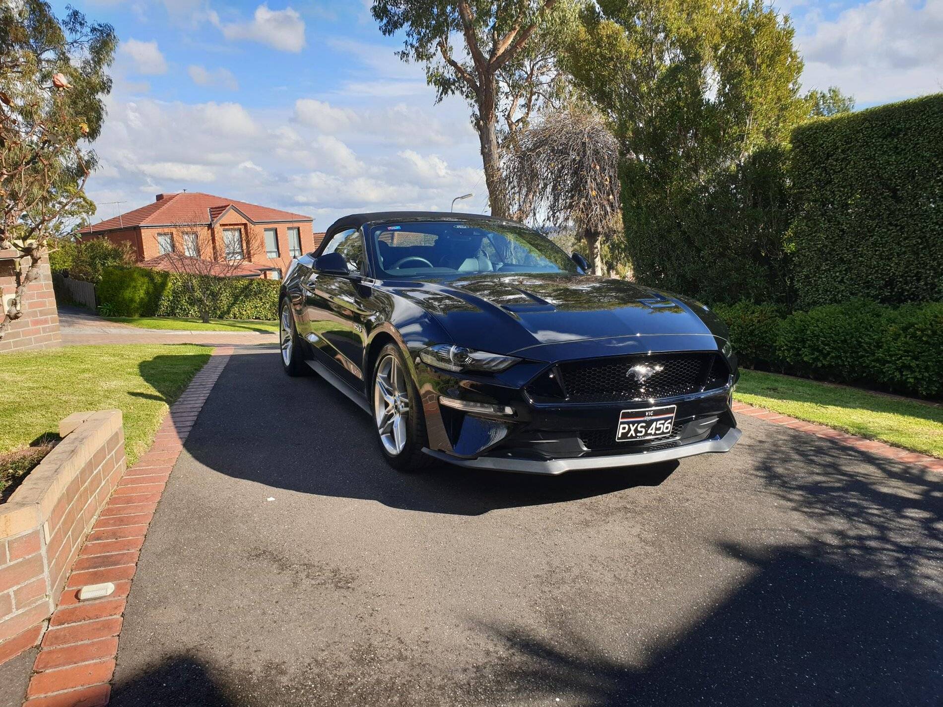 Mustang 2021 at home.jpg
