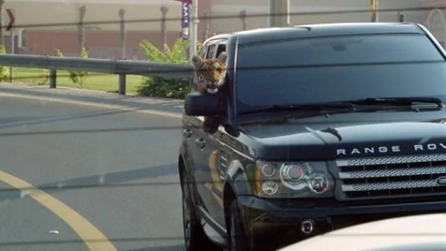dubai-tiger-range-rover-e1334680217467.webp