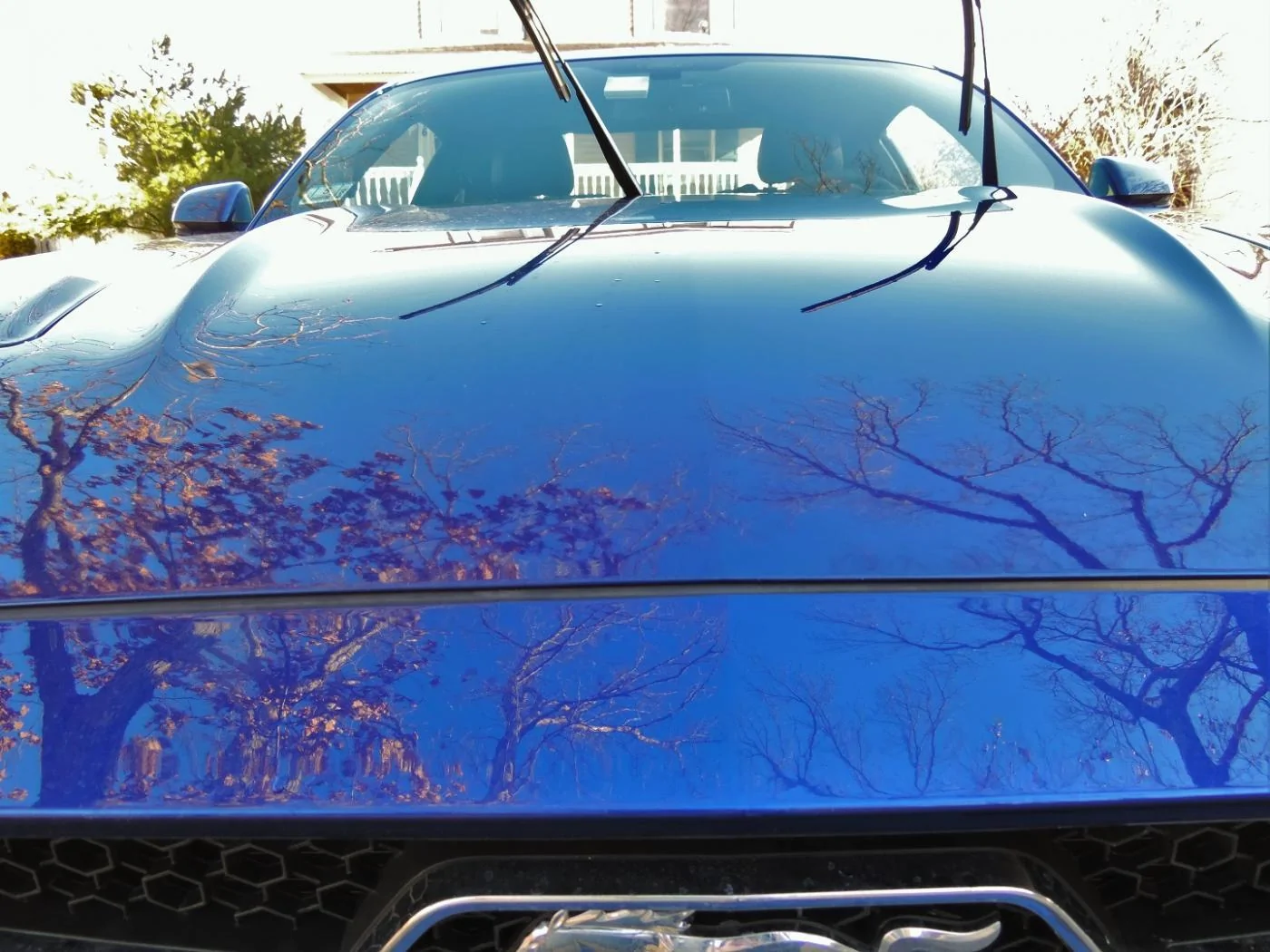 DSCN3249 (2).webp