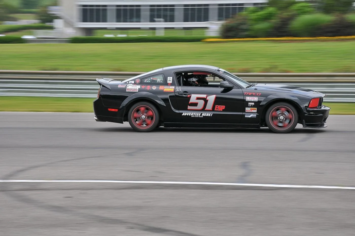 07 Mustang 2.webp