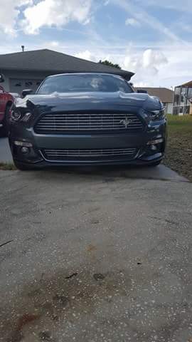 received_10156682221975221.jpeg