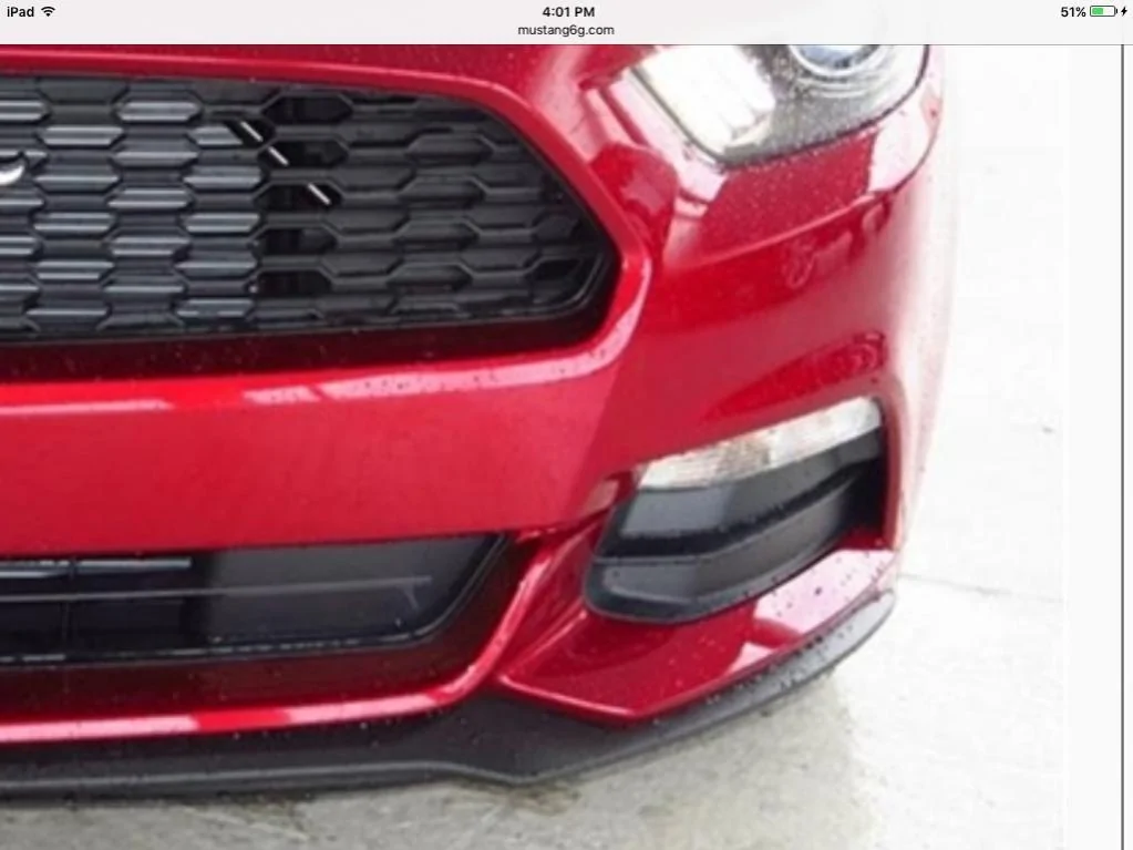 image.webp