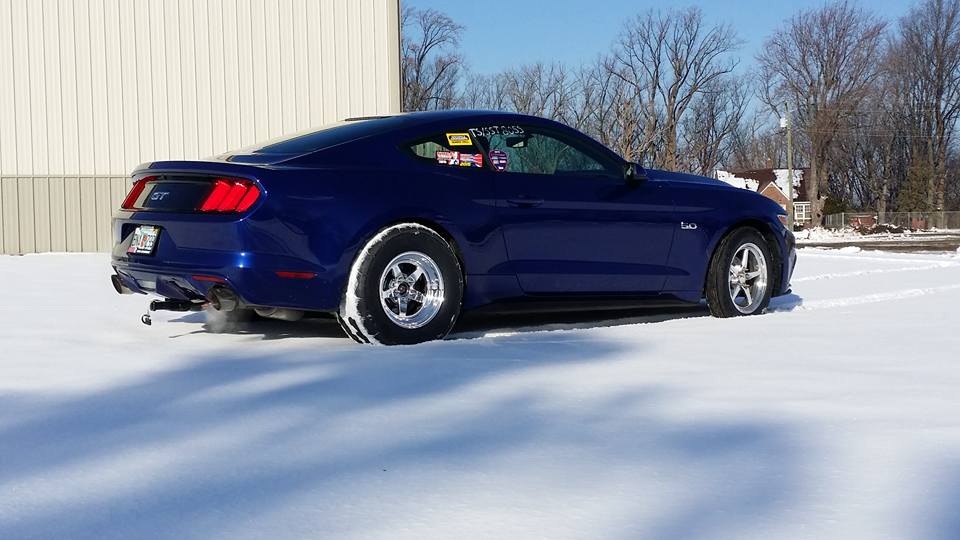 Snow 3.jpg