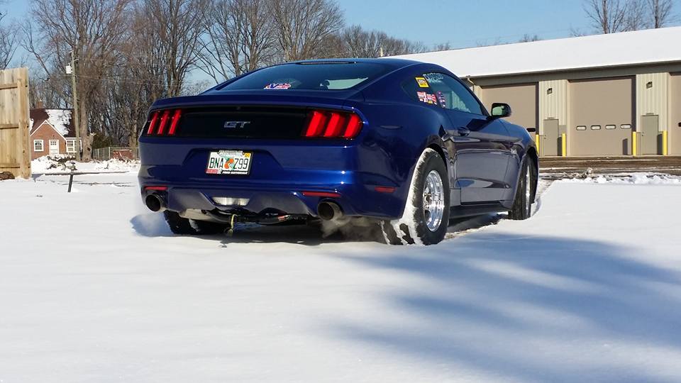 Snow 4.jpg