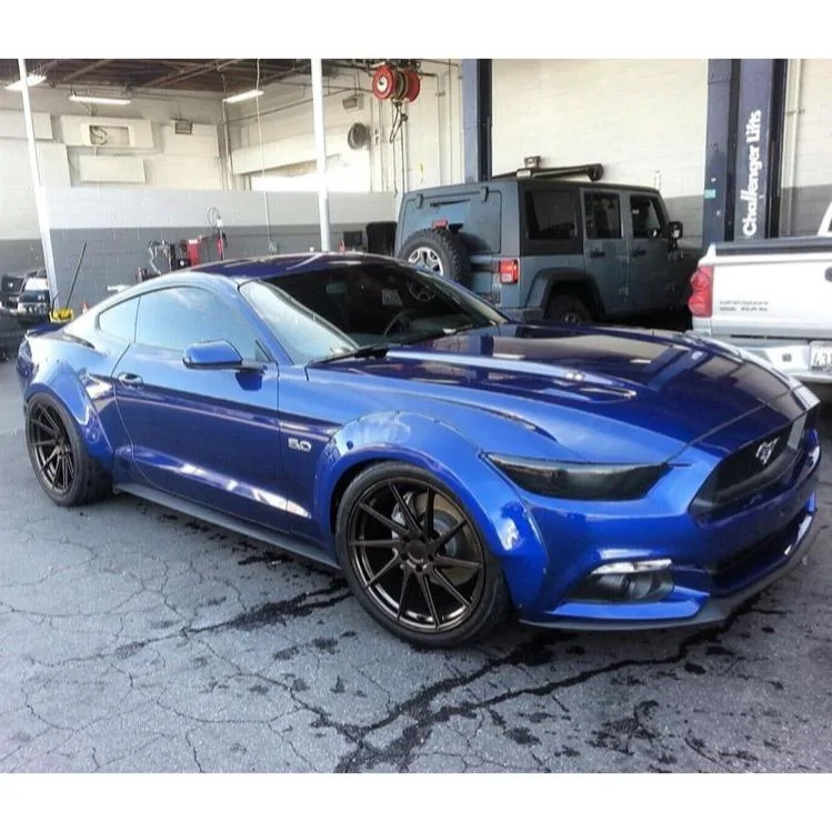 mustang 2.webp