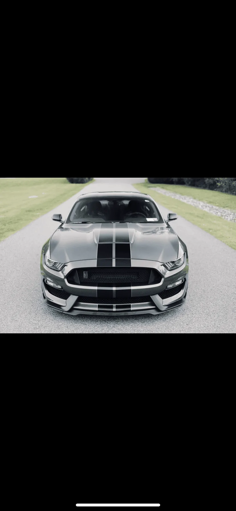 2753A793-62ED-4E1A-BC20-80F78E792FDD.webp