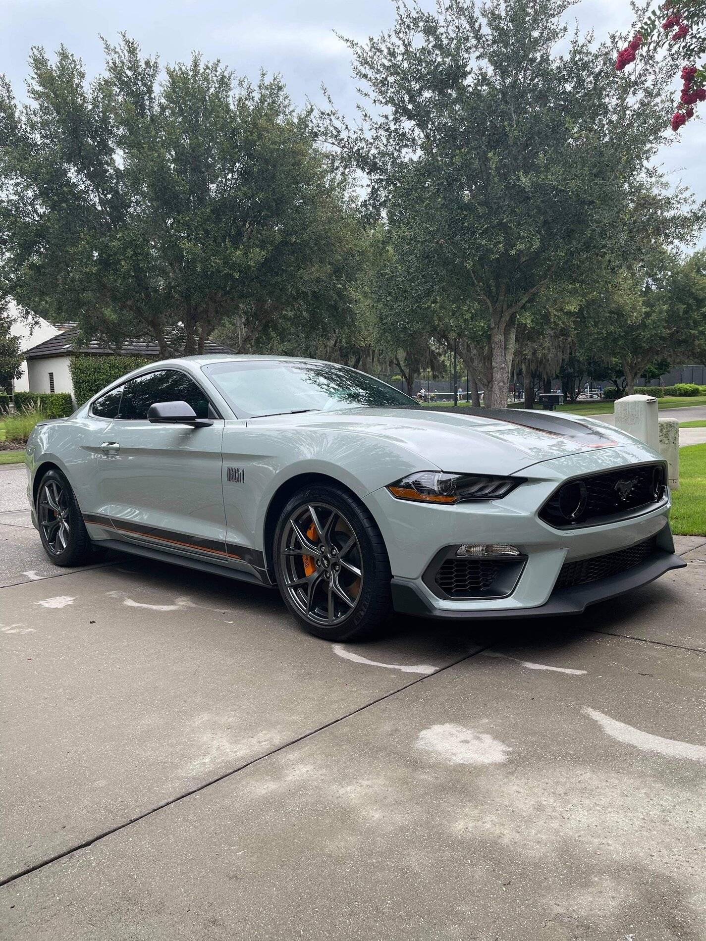 2021 Mach1_17.jpg
