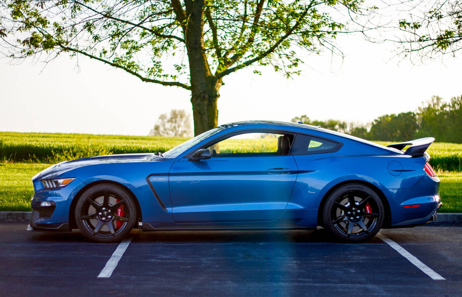 IMG_8144-HDR-2-Edit.jpg
