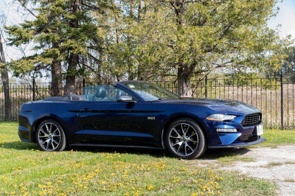 Mustang-3.jpg