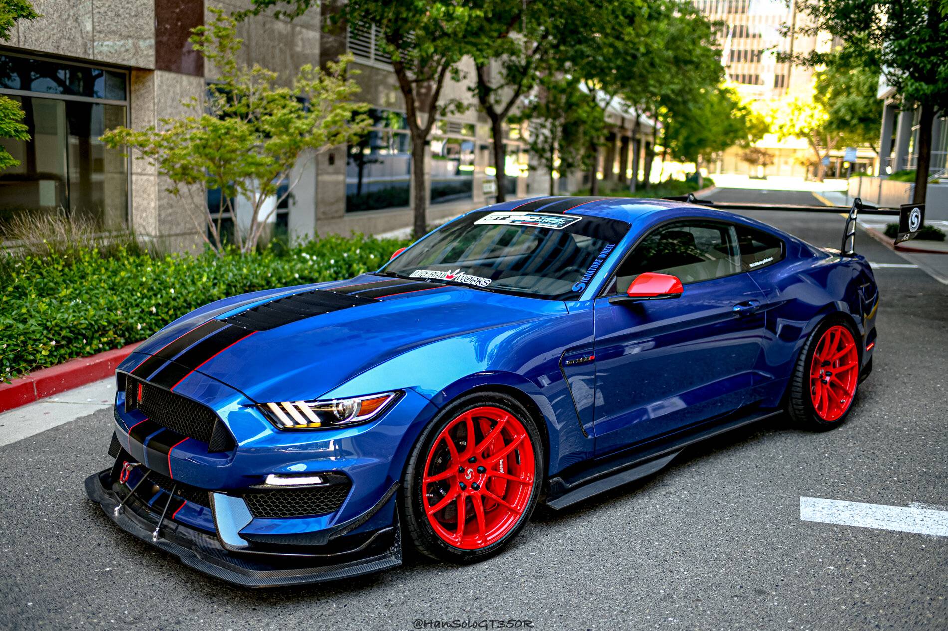 SV502 GT350 Racing Red-01.jpg
