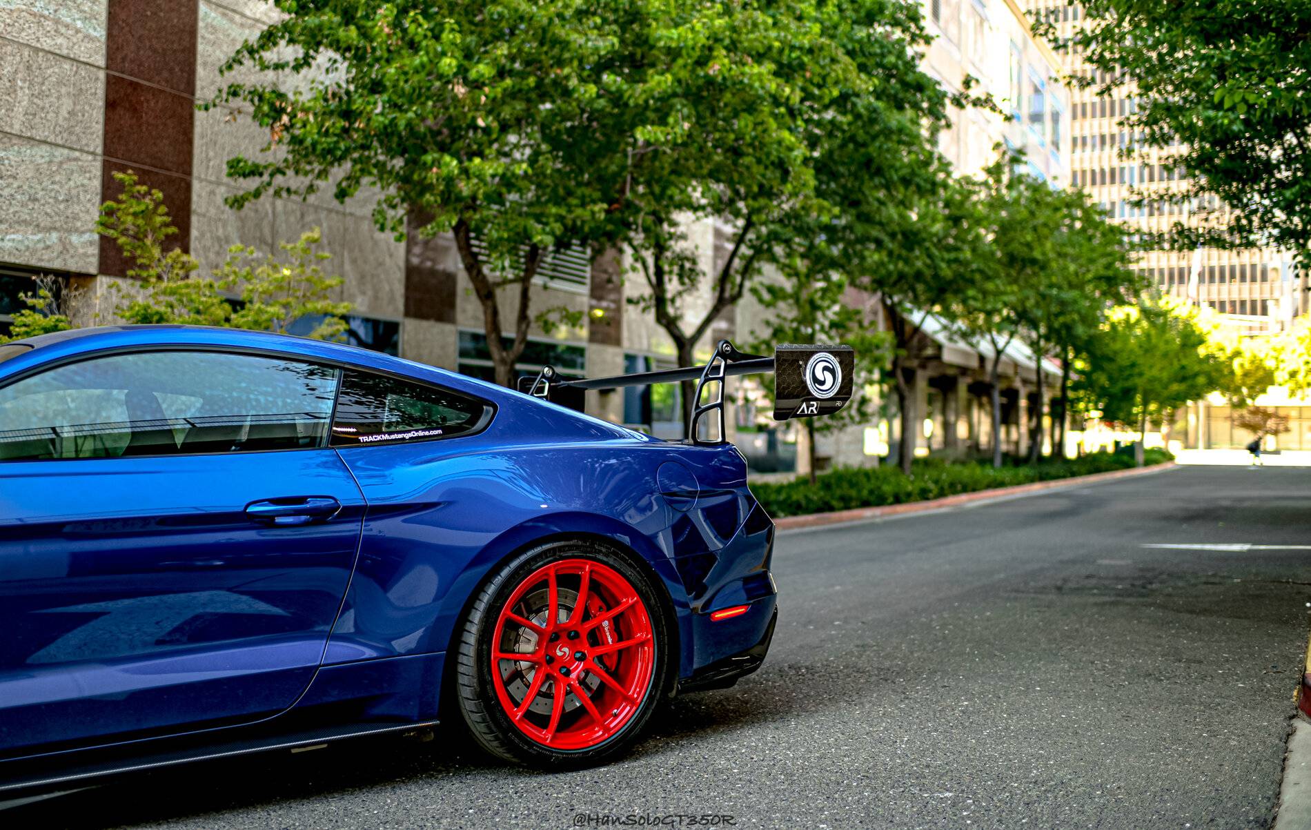 SV502 GT350 Racing Red-03.jpg