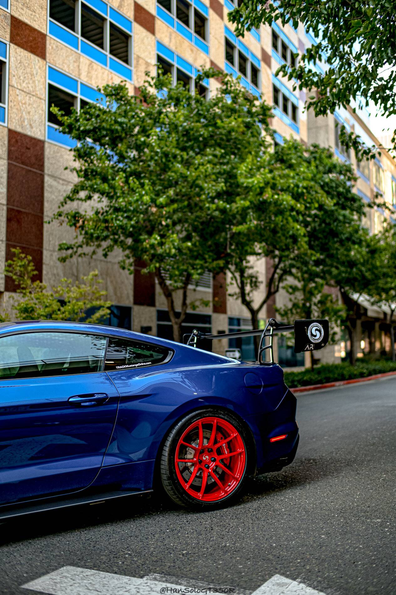 SV502 GT350 Racing Red-04.jpg