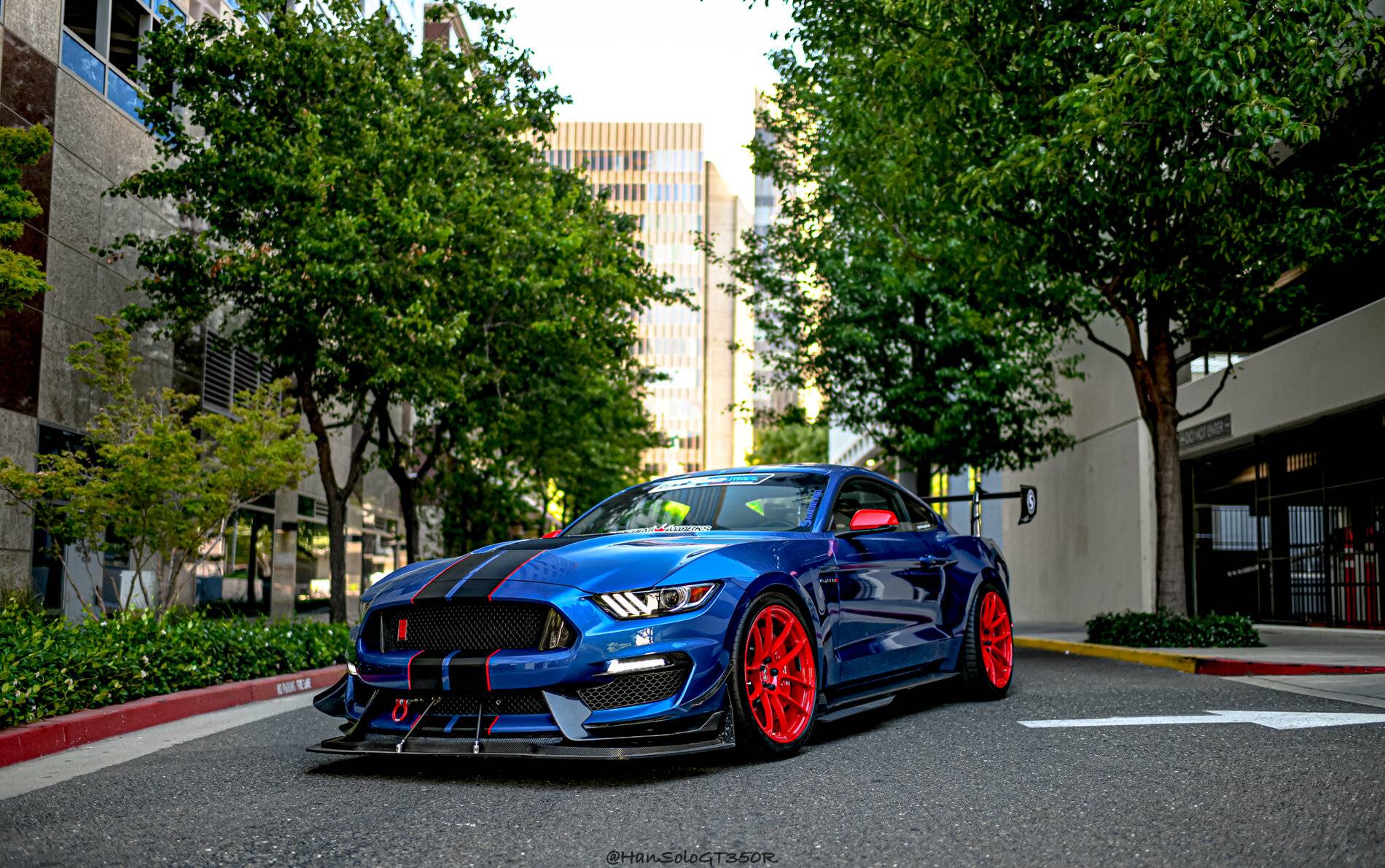 SV502 GT350 Racing Red-05.jpg
