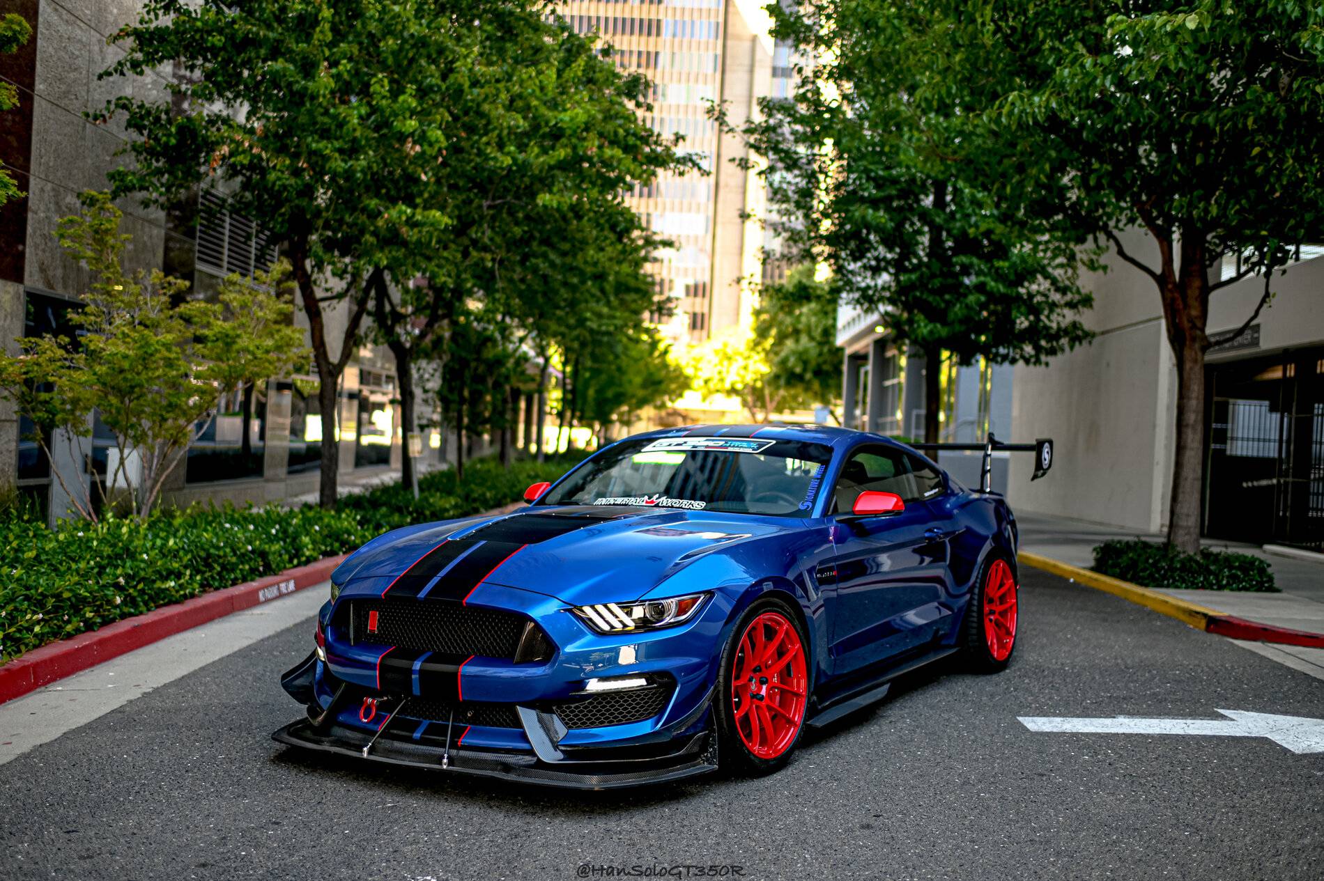 SV502 GT350 Racing Red-06.jpg