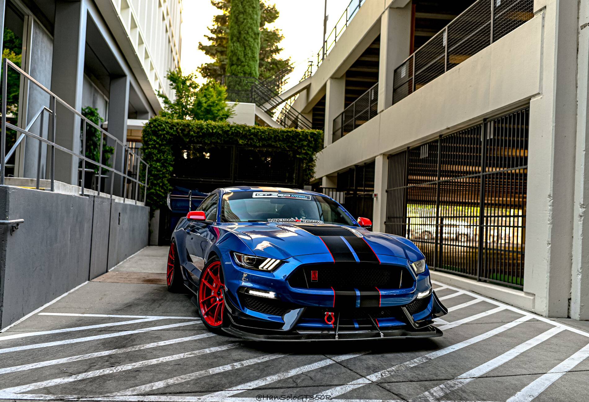 SV502 GT350 Racing Red-07.jpg