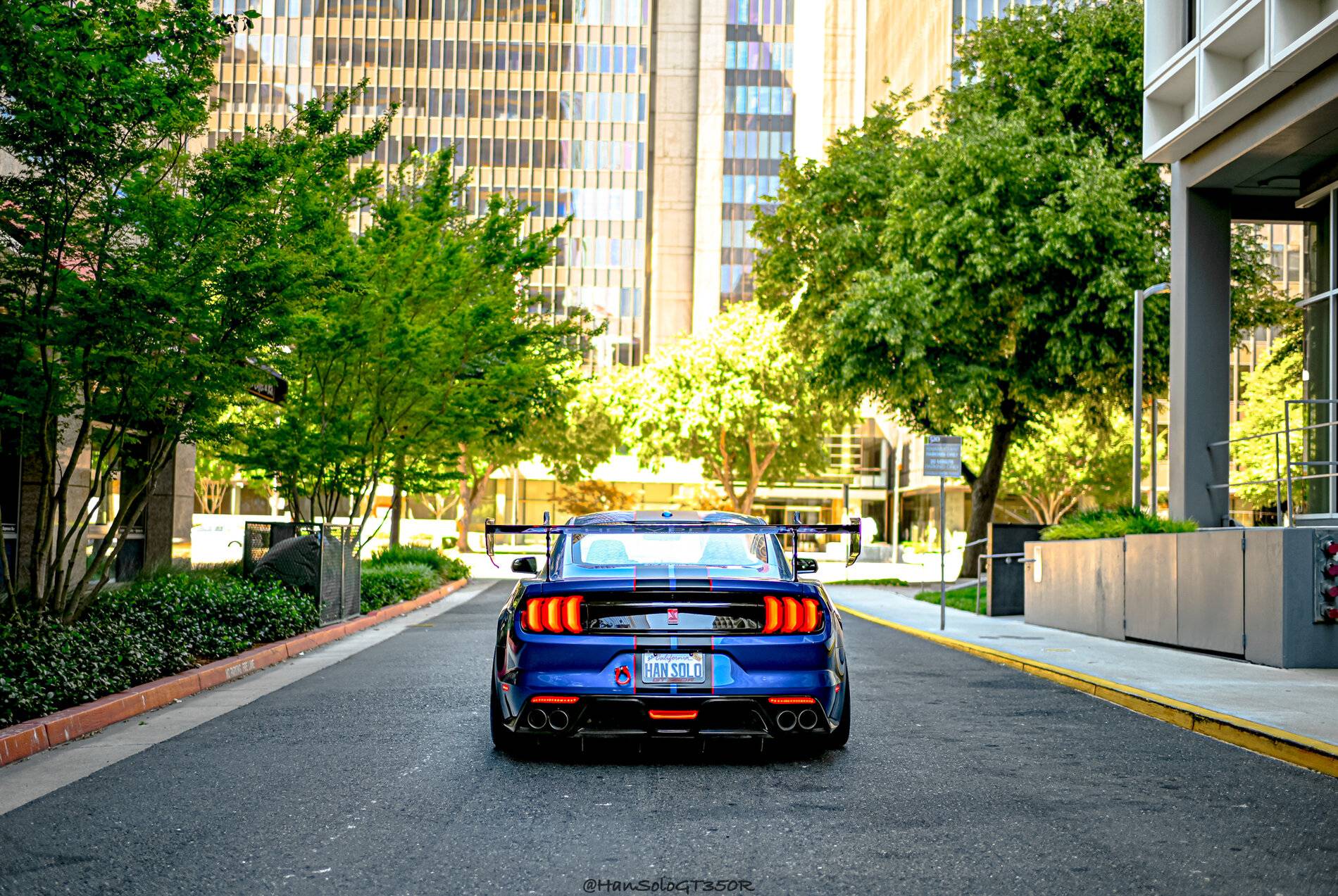 SV502 GT350 Racing Red-09.jpg