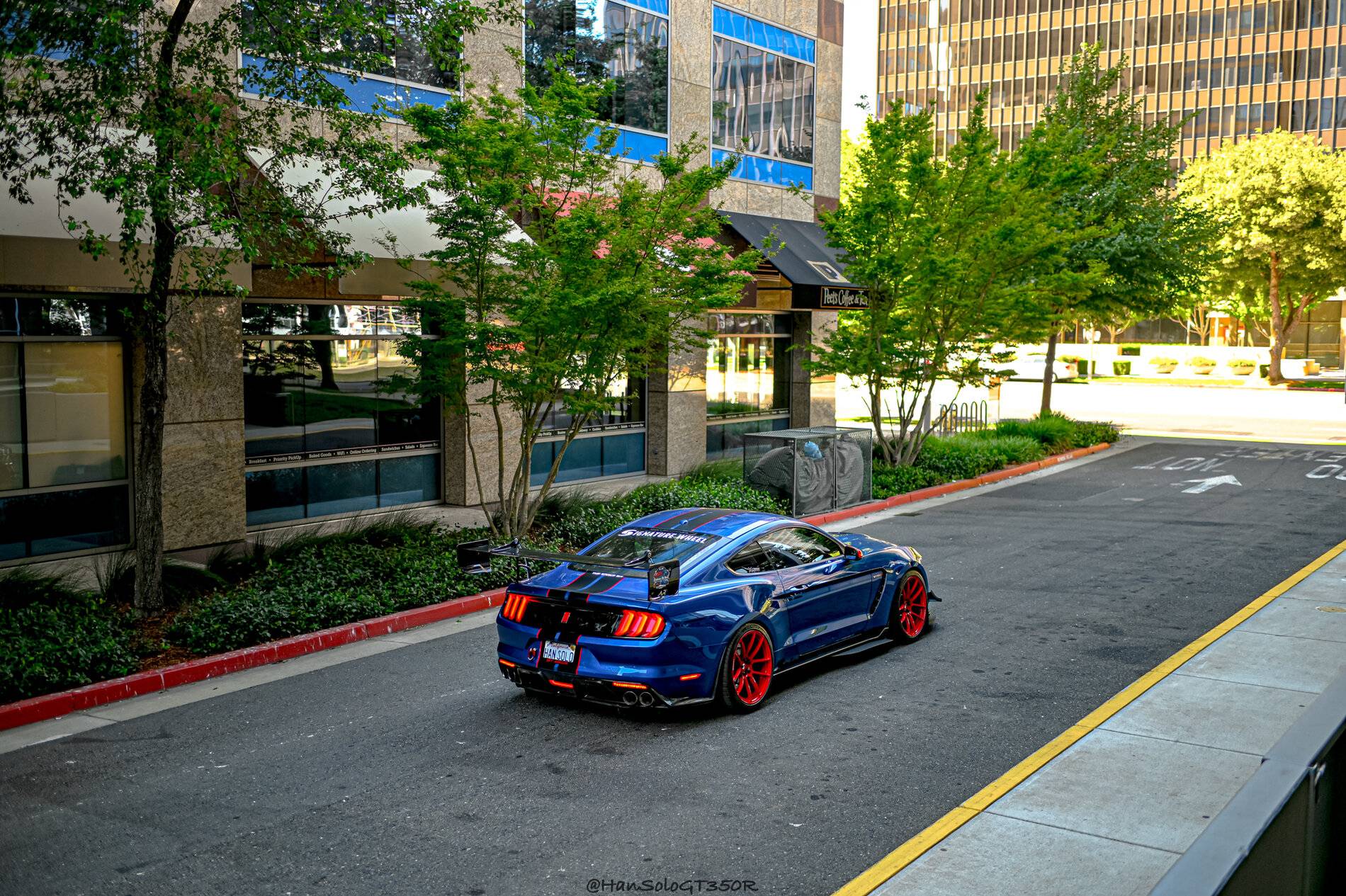 SV502 GT350 Racing Red-10.jpg
