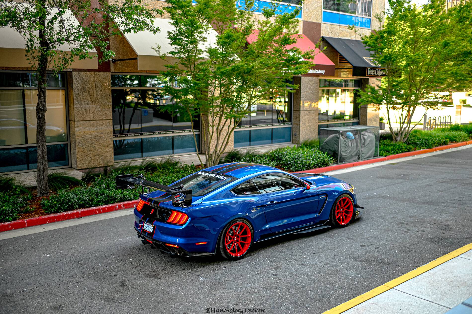 SV502 GT350 Racing Red-11.jpg