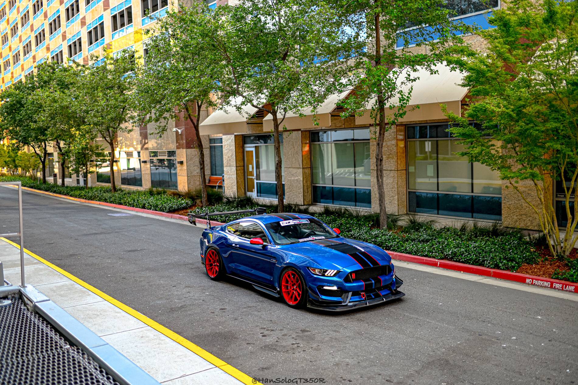 SV502 GT350 Racing Red-12.jpg