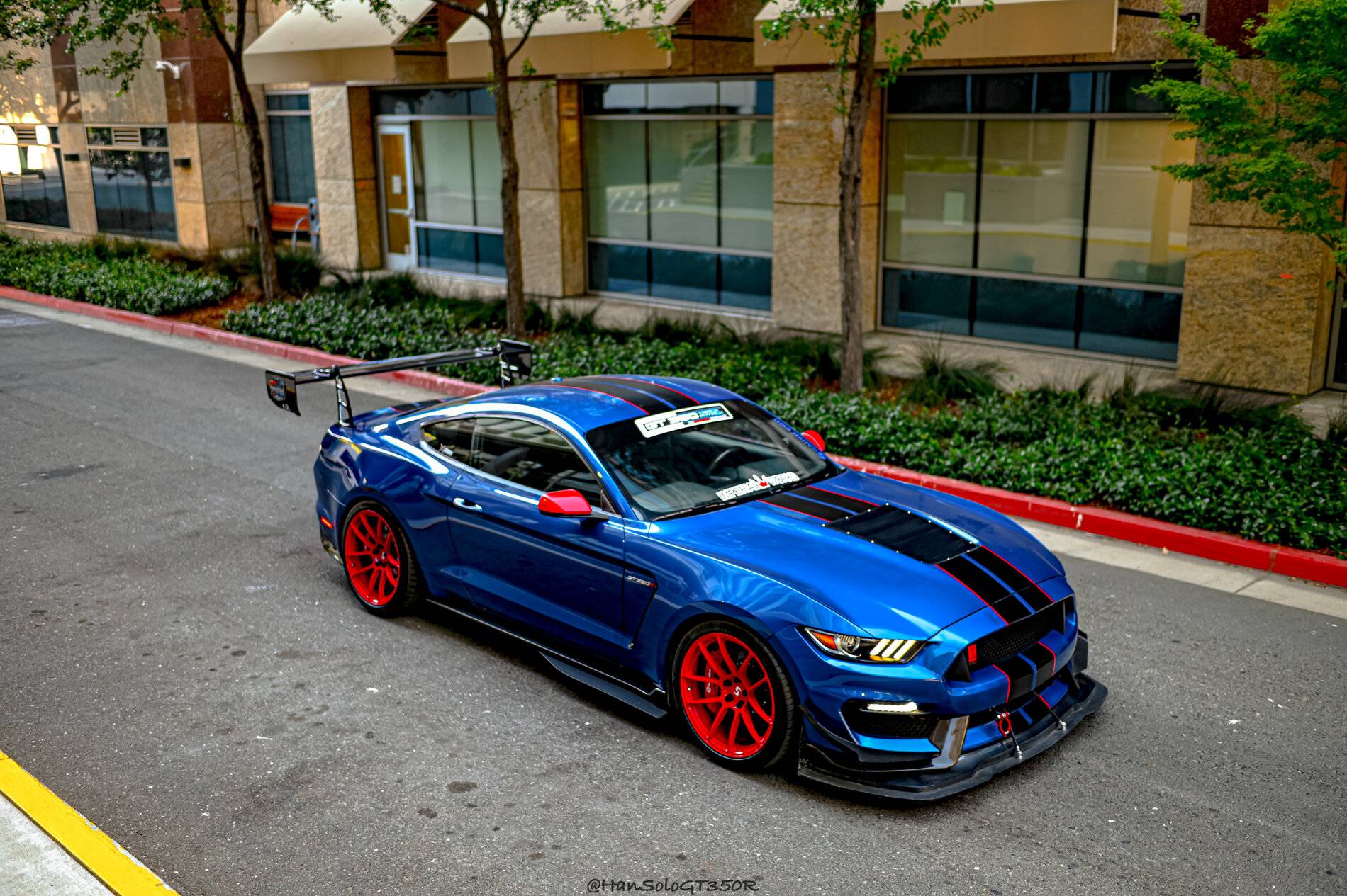 SV502 GT350 Racing Red-13.jpg