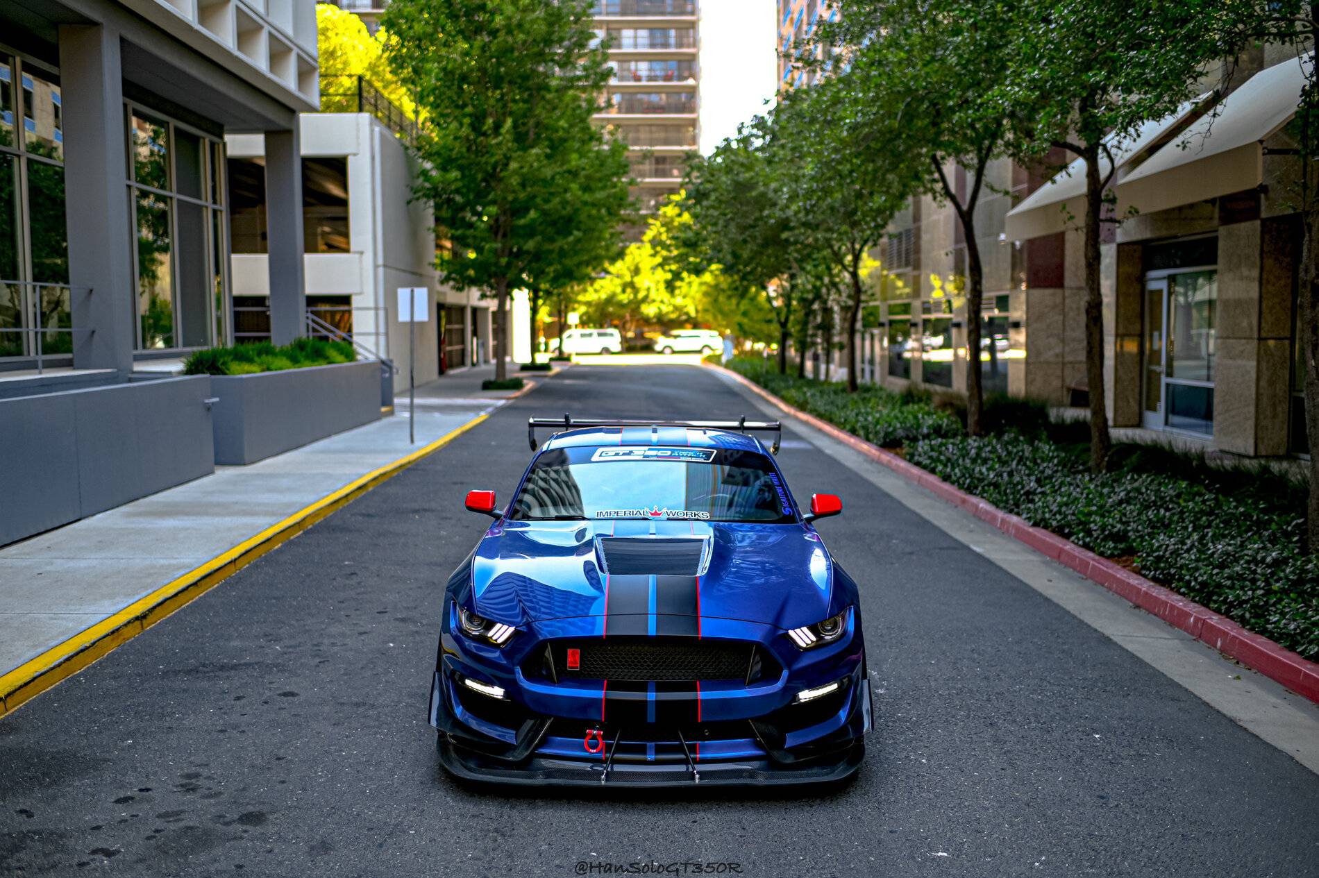 SV502 GT350 Racing Red-14.jpg