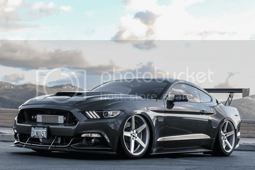 S550126_zpsn6hff6nb.webp
