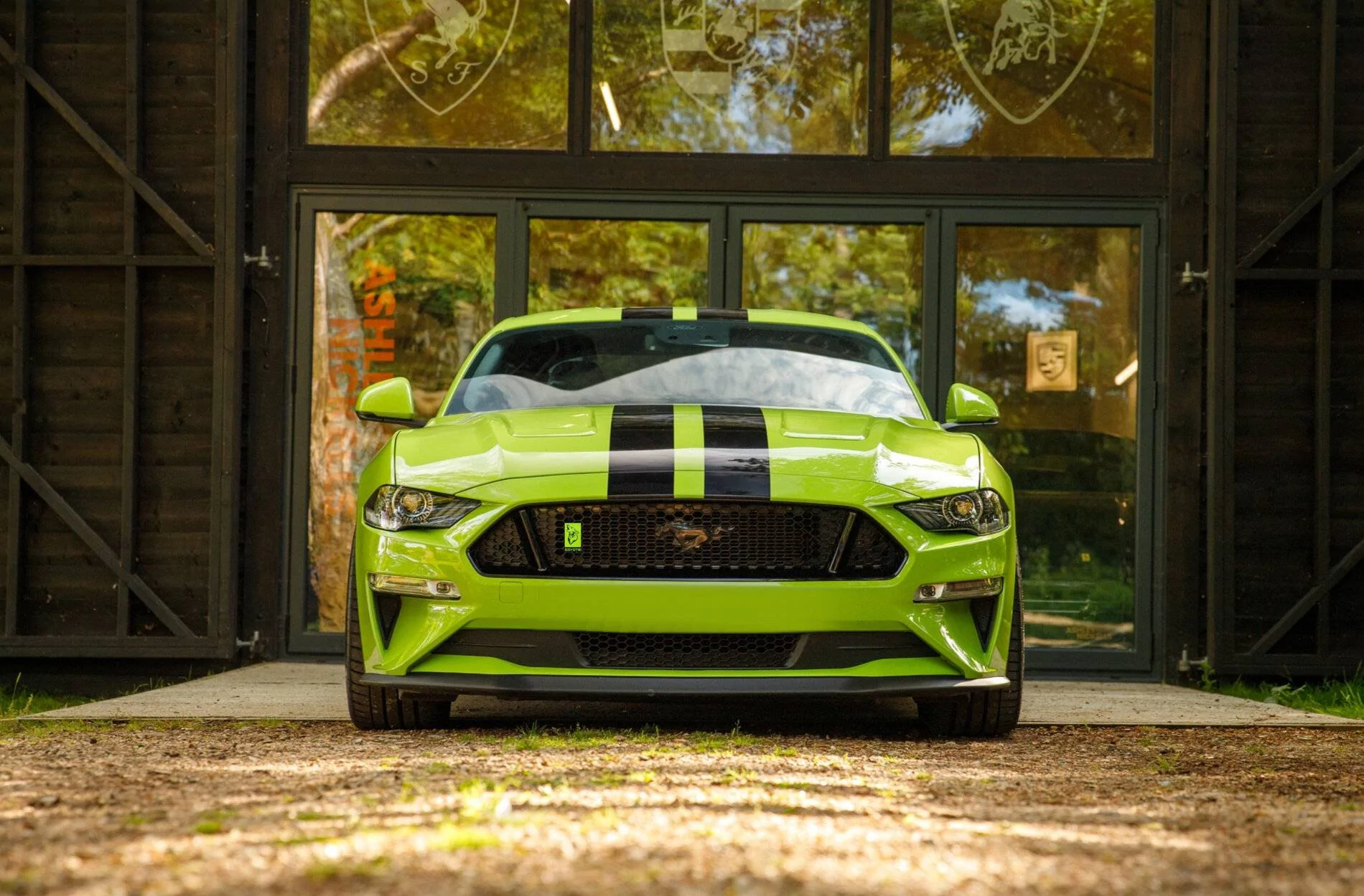 Lime Green.webp