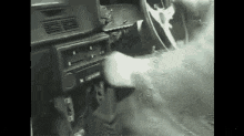 gear grinder.gif