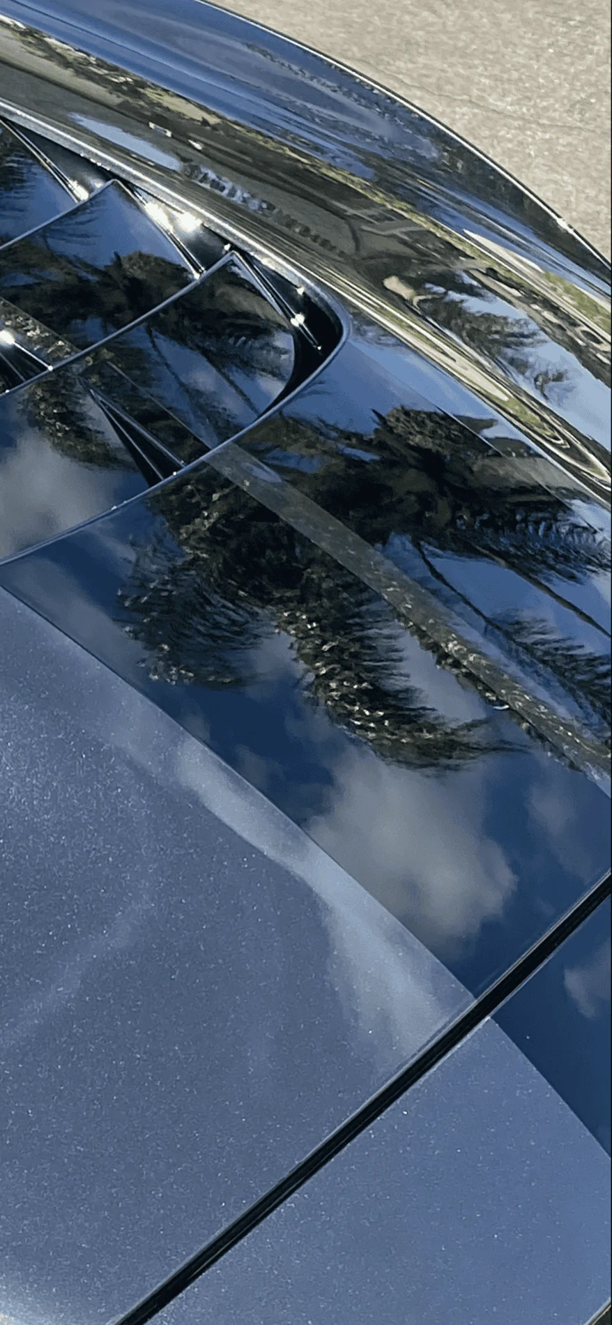 3D38D38E-3AD5-4FF1-8128-0C37CB87B986.webp