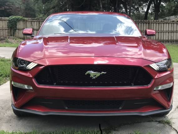 Mustang Front.jpg