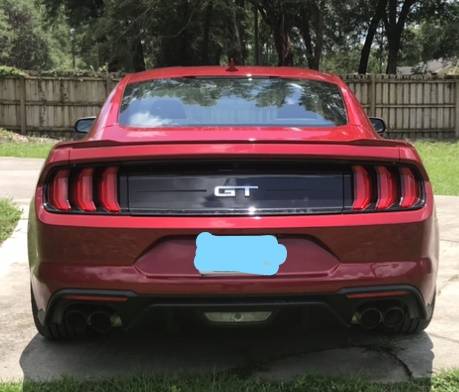 Mustang Rear_LI Tag Deleted.jpg