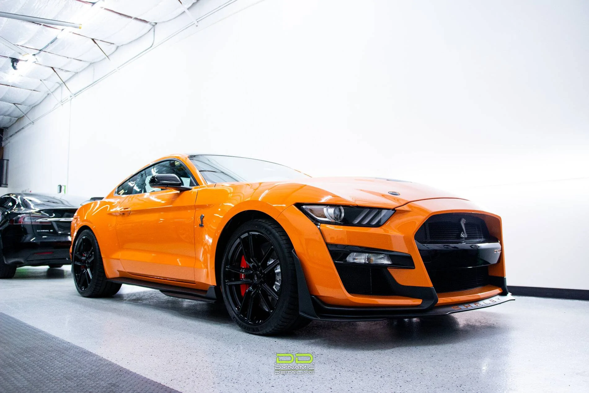 GT4.jpg