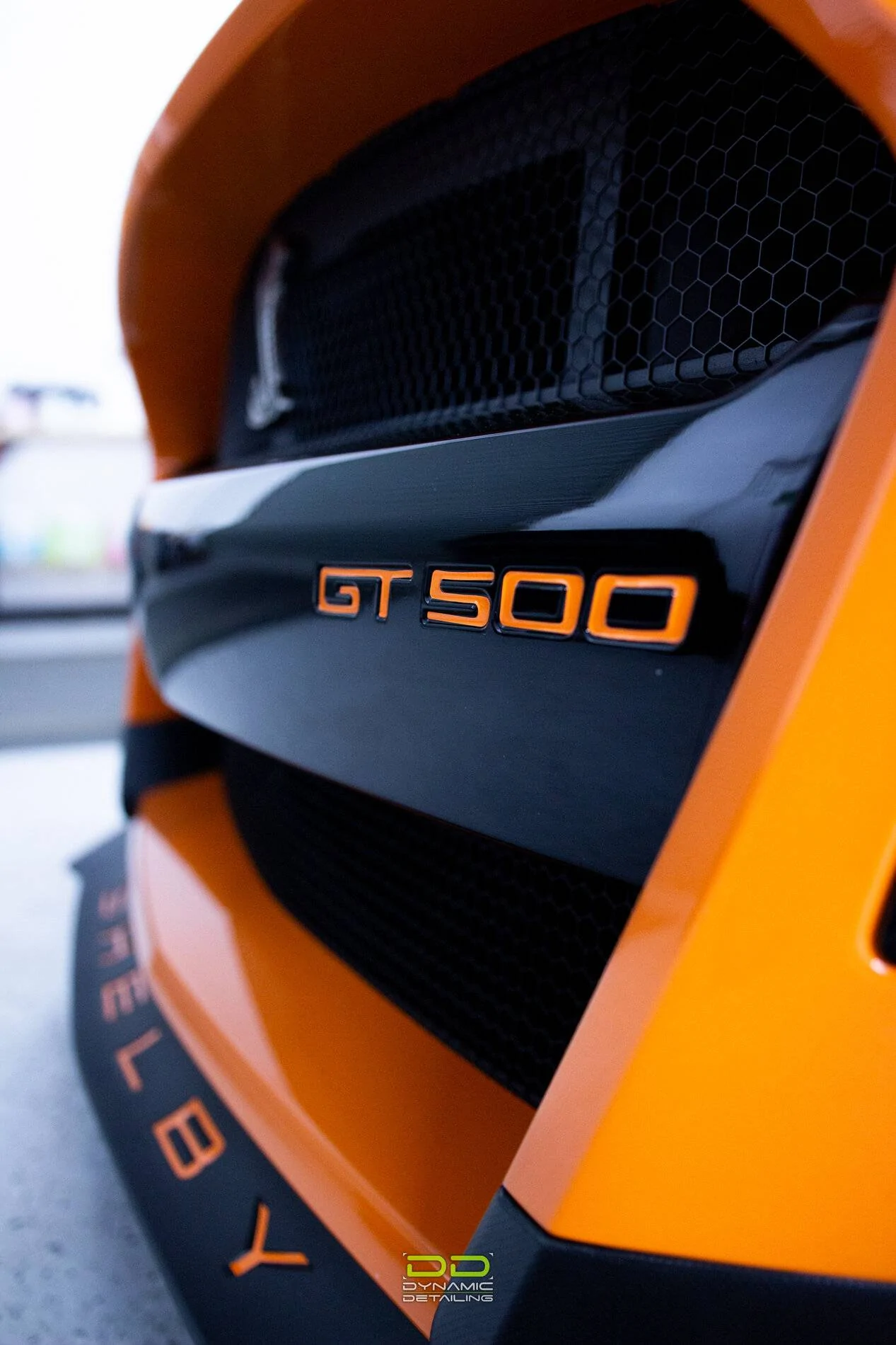 GT5.jpg