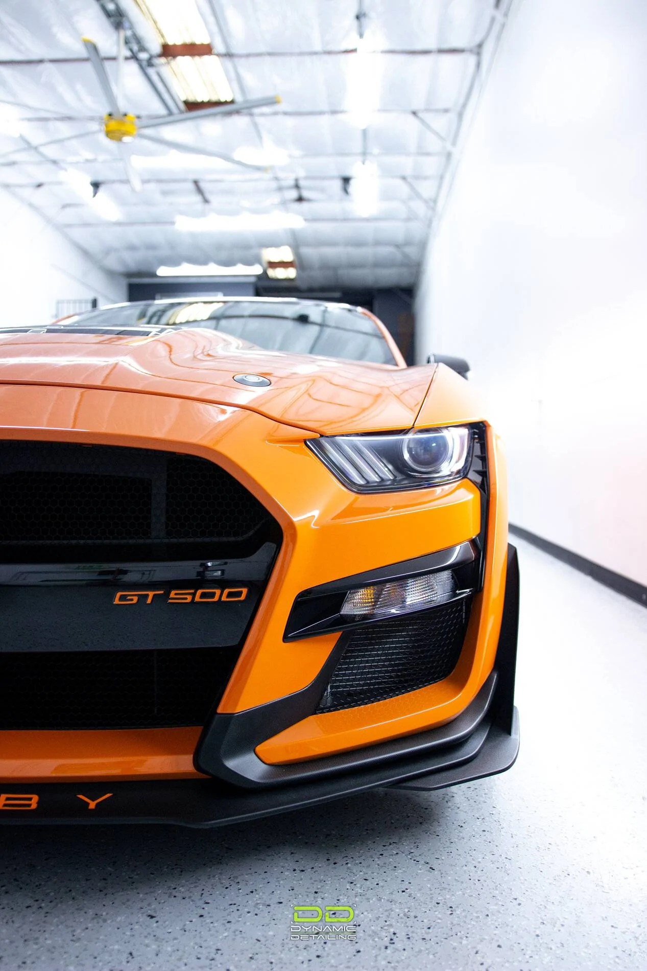 GT6.jpg