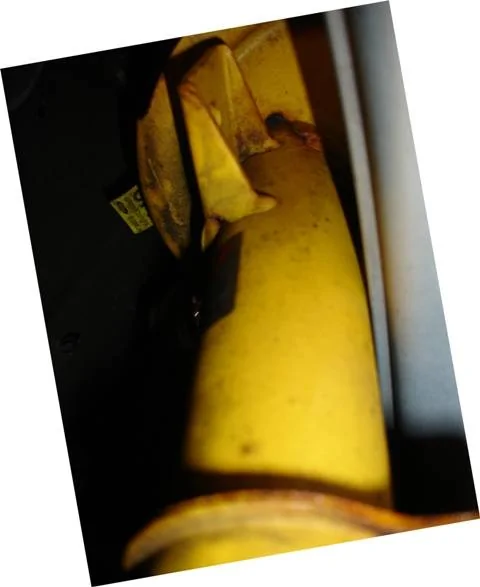 DSC03378-web.jpg