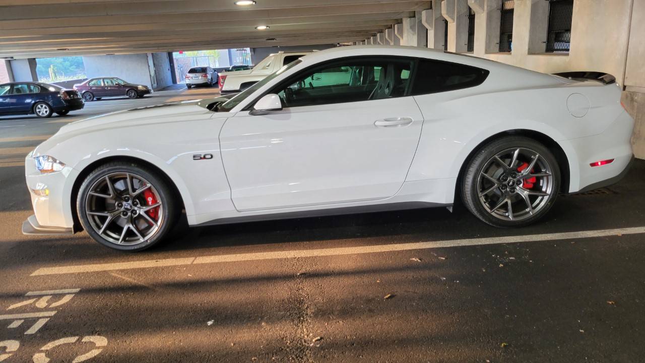 Mustang Side.jpg