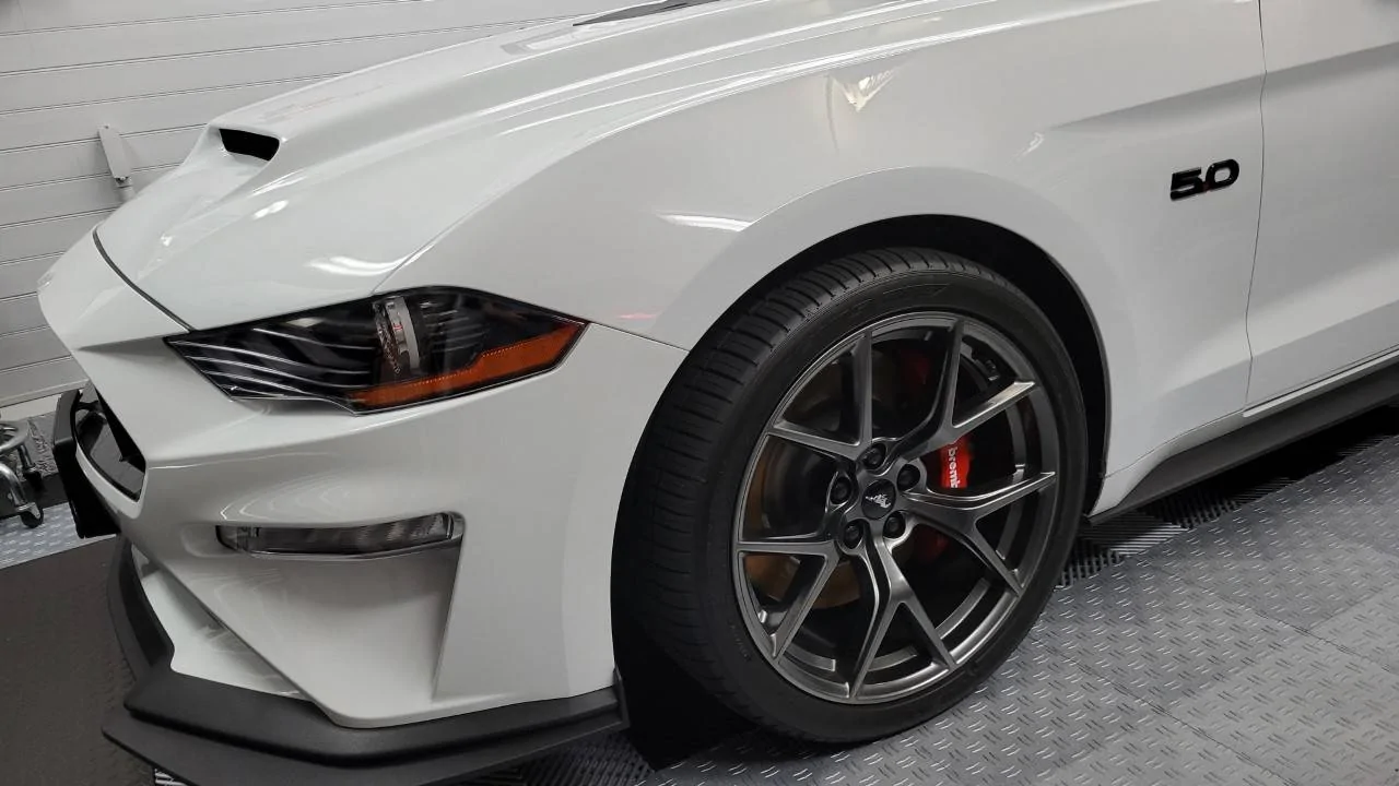 Mustang Quarter View.webp