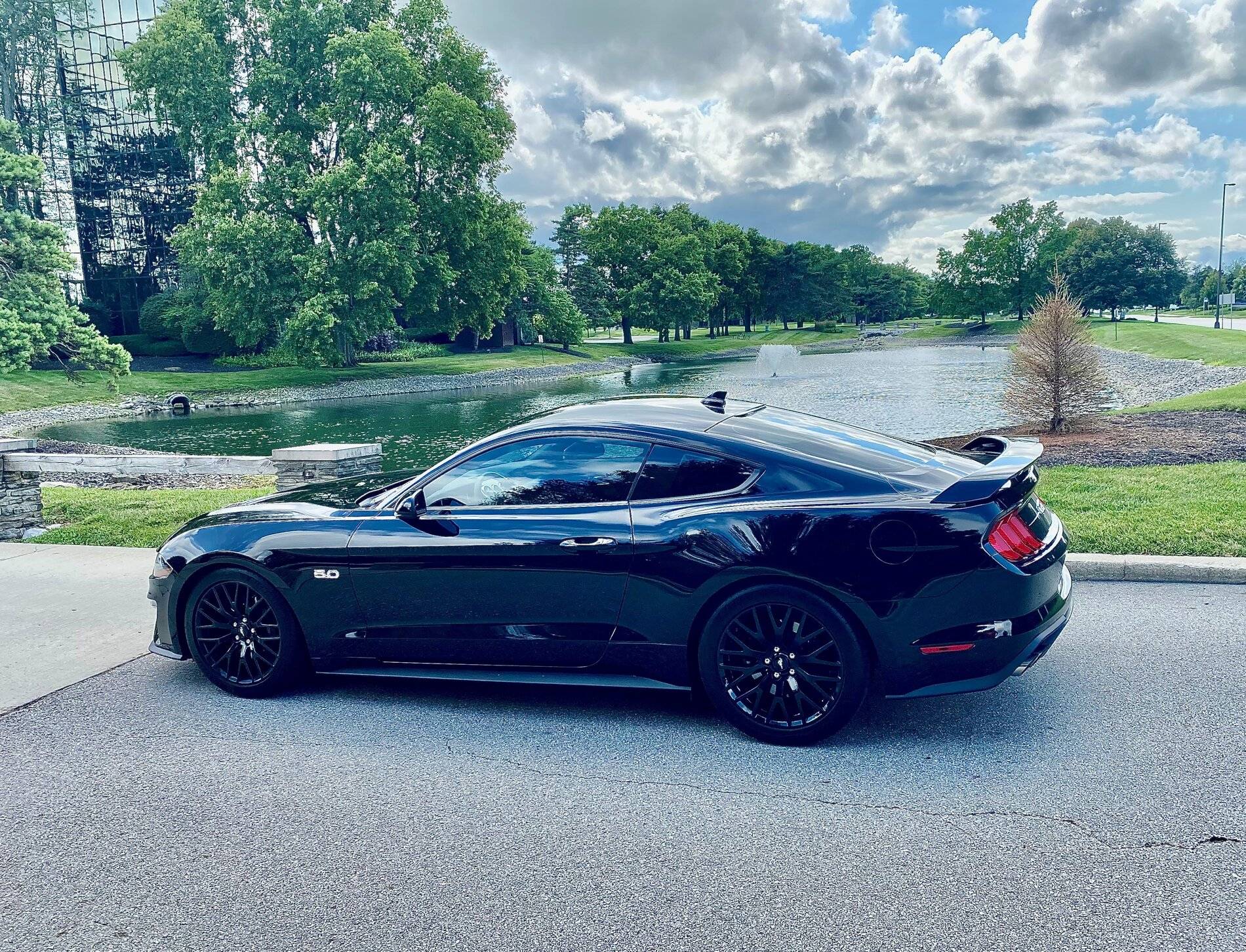 lowered4.jpg