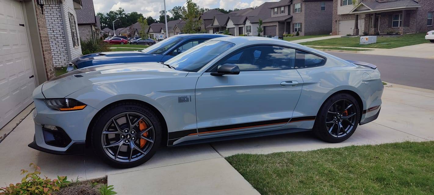 mustang1.jpg