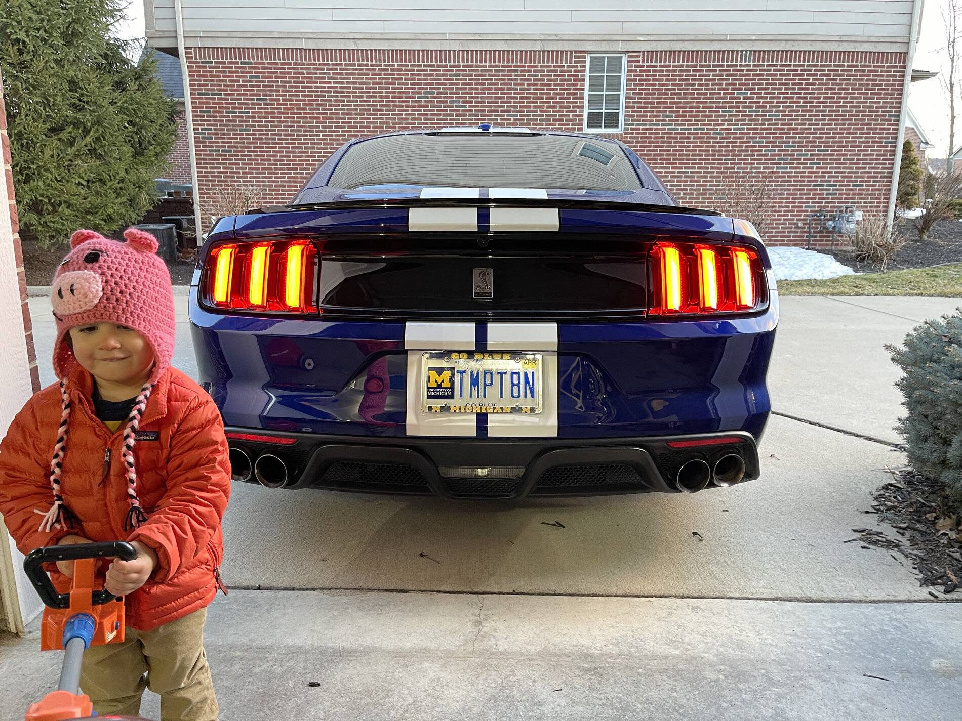 2016 GT350 plate.jpg